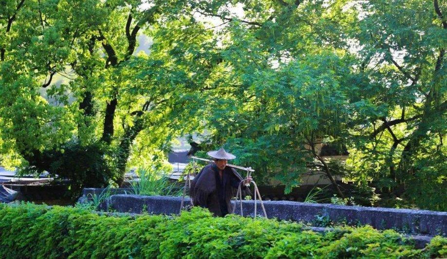 英文选择,解答您的疑惑